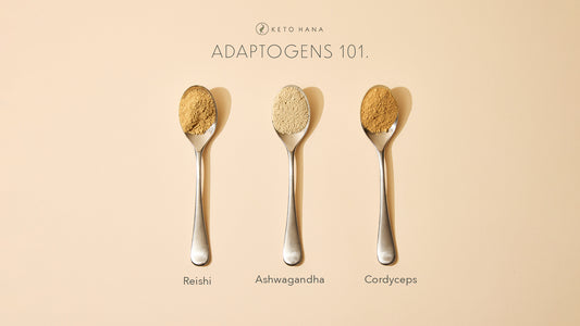 Adaptogens 101