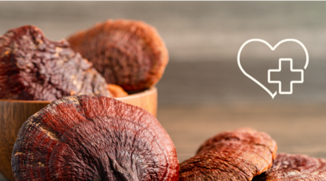 Superfood of the Month: Reishi Mushroom