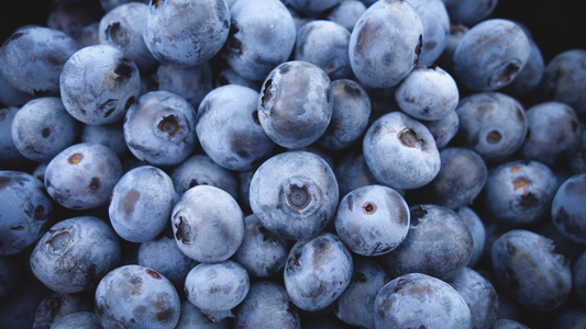 Health benefits of Wild Blueberries
